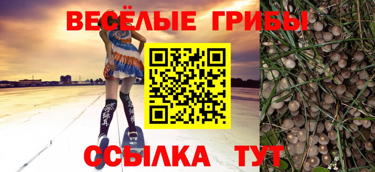 где продают   Псилоцибиновые грибы мицелий  Вход с VPN  Анапа 