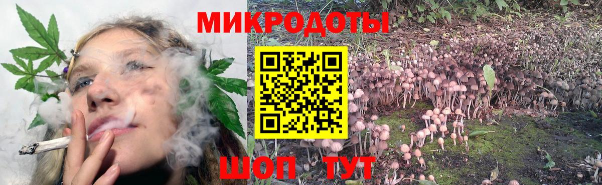 Псилоцибиновые грибы MAGIC MUSHROOMS Анапа